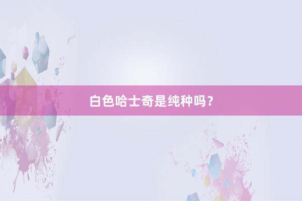 白色哈士奇是纯种吗？